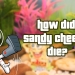 How did Sandy Cheeks die?